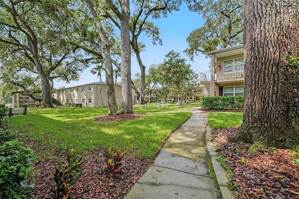 For Sale: $130,000 (1 beds, 1 baths, 645 Square Feet)