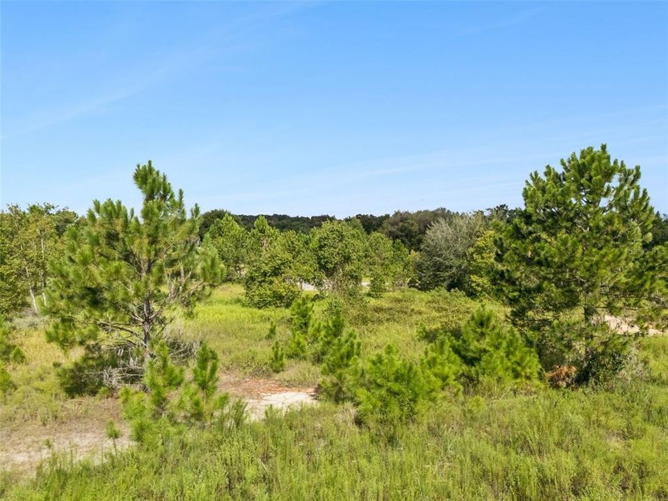 На продажу: $999,000 (10.00 acres)