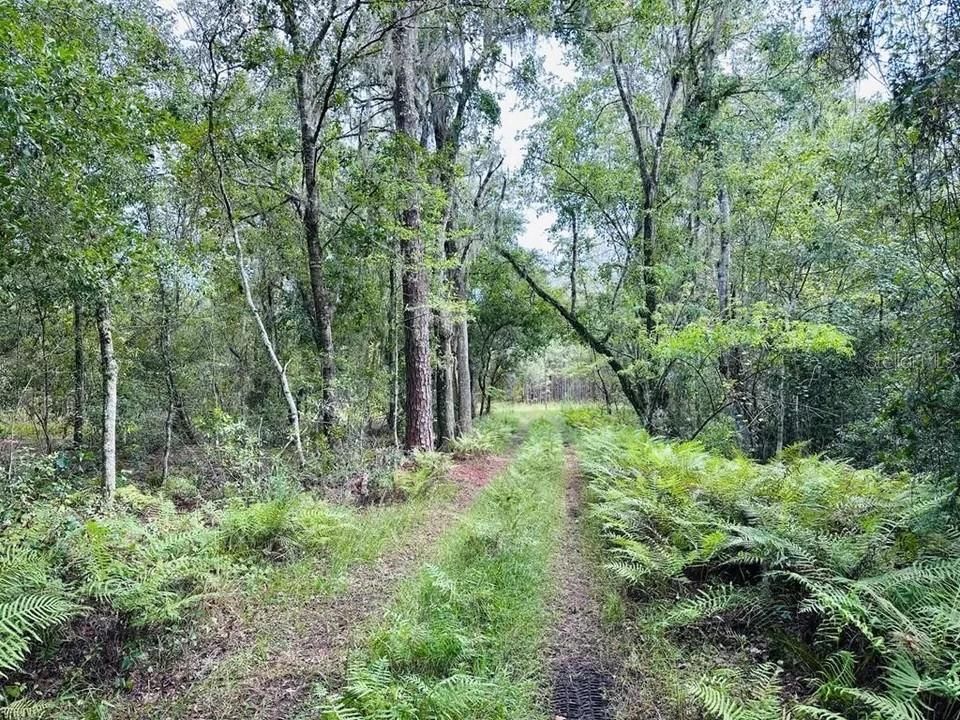 最近售出: $700,000 (80.00 acres)