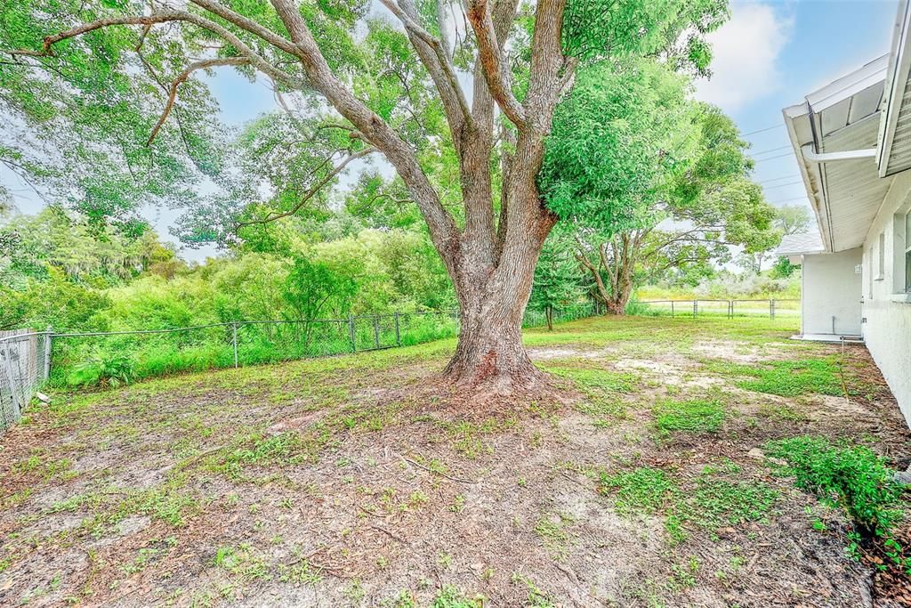 En Venta: $295,000 (3 camas, 2 baños, 1234 Pies cuadrados)