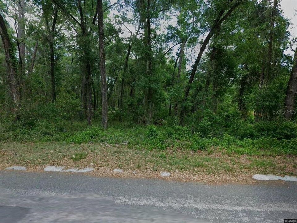 待售: $15,000 (0.22 acres)