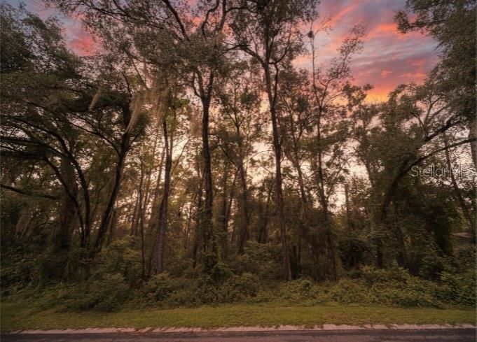 En Venta: $15,000 (0.22 acres)