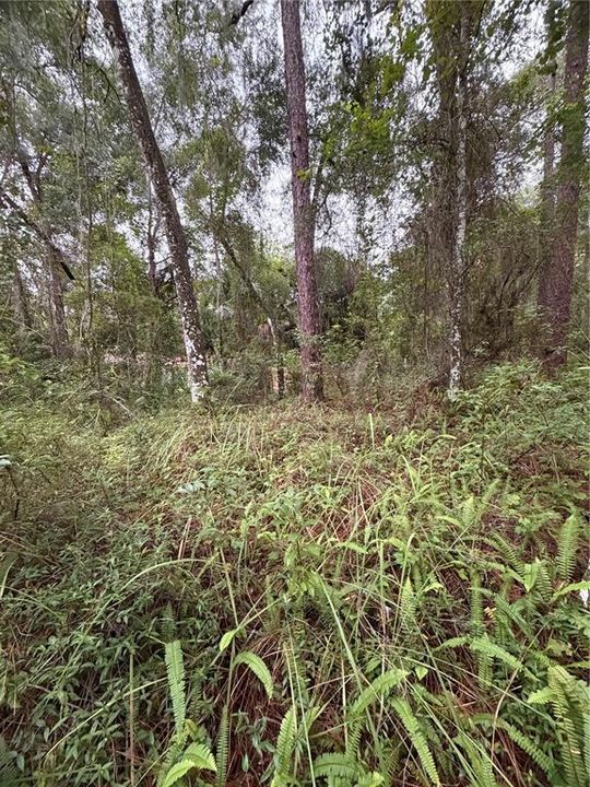 En Venta: $15,000 (0.22 acres)