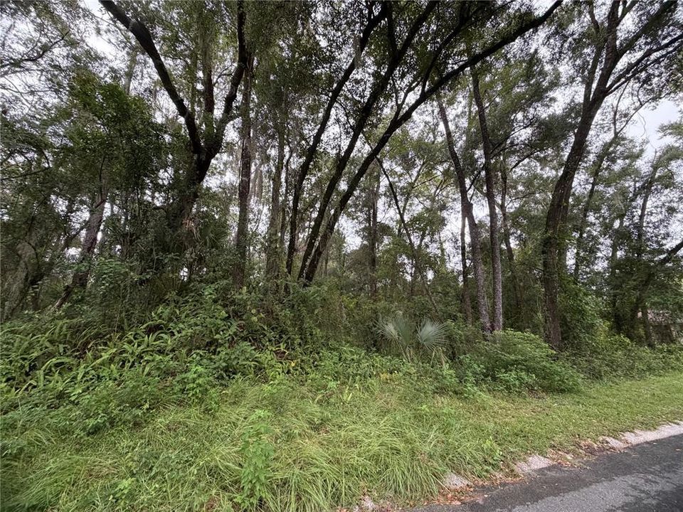 En Venta: $15,000 (0.22 acres)