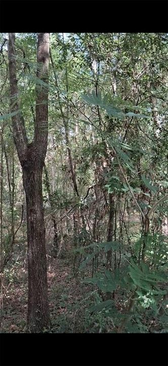 En Venta: $21,800 (0.25 acres)