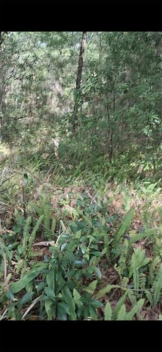 En Venta: $21,800 (0.25 acres)