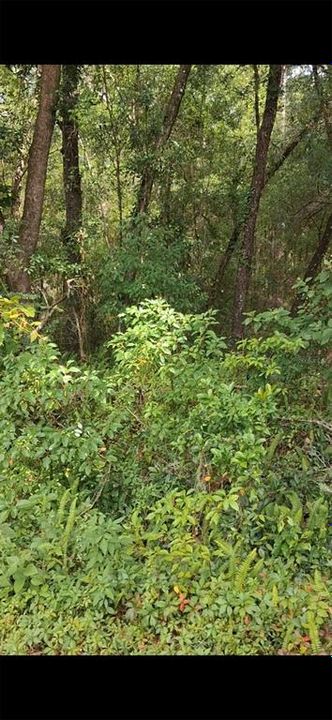 En Venta: $21,800 (0.25 acres)