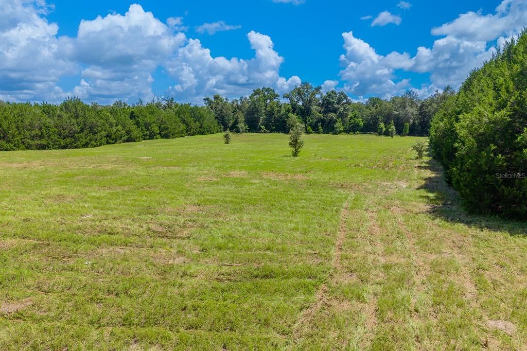 For Sale: $525,000 (29.57 acres)