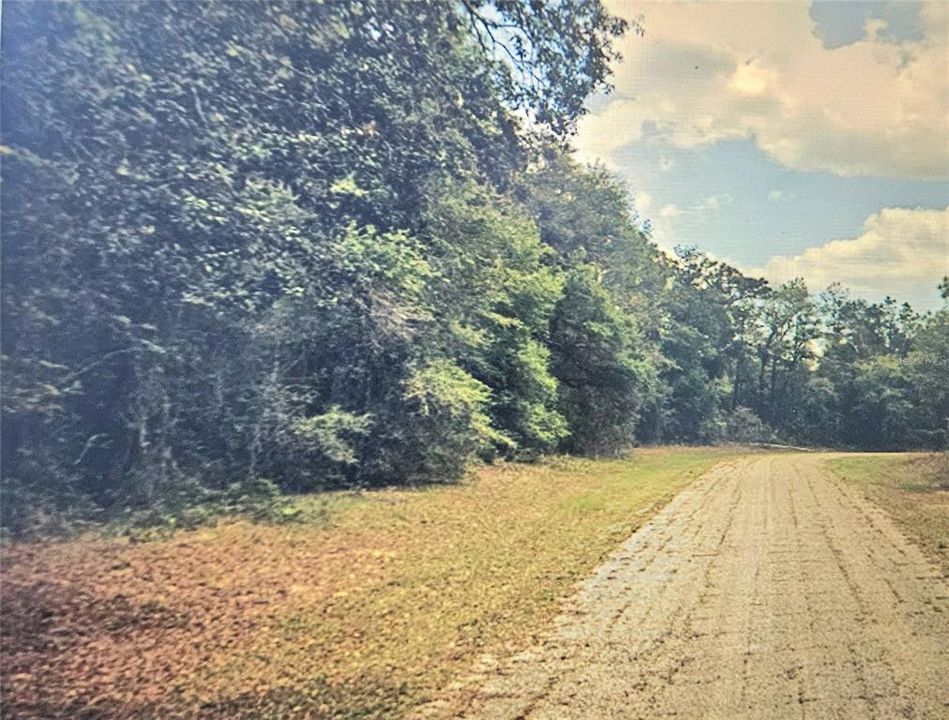 For Sale: $12,412 (0.22 acres)