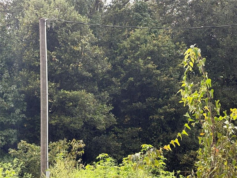 For Sale: $249,000 (9.25 acres)