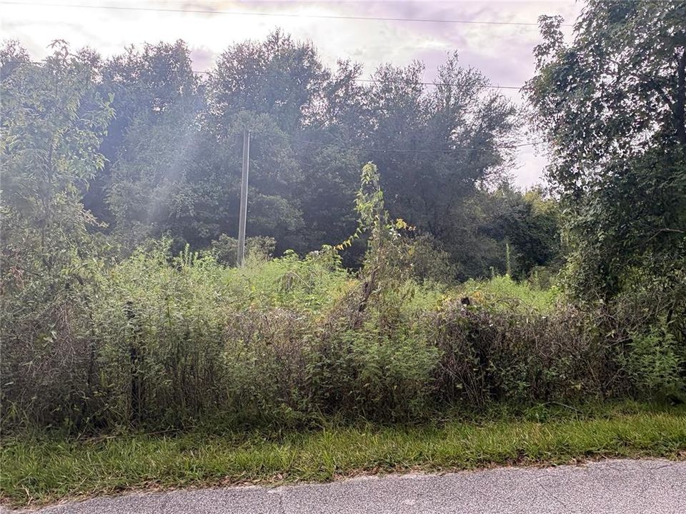 For Sale: $249,000 (9.25 acres)
