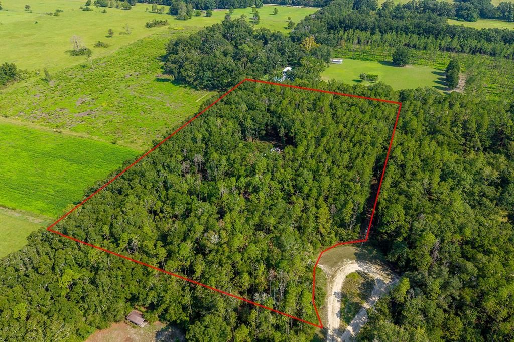 На продажу: $125,000 (5.01 acres)