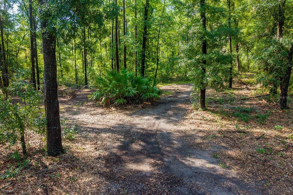На продажу: $125,000 (5.01 acres)