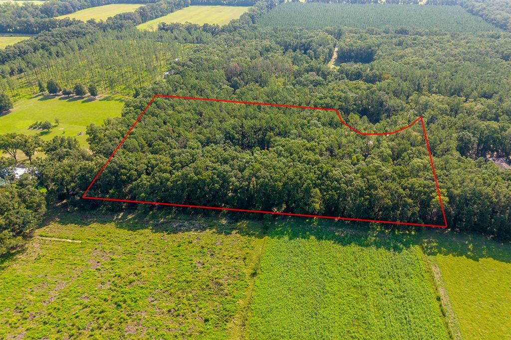 На продажу: $125,000 (5.01 acres)