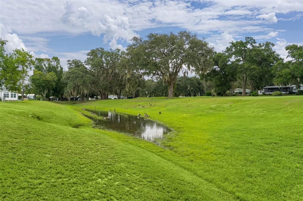 For Sale: $319,900 (3 beds, 2 baths, 1495 Square Feet)
