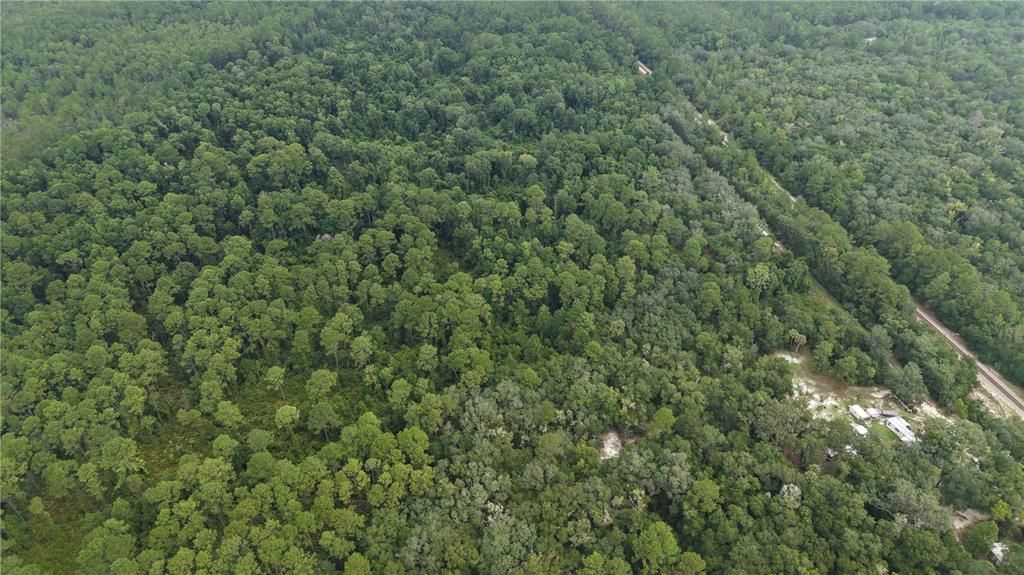 待售: $10,000 (1.61 acres)