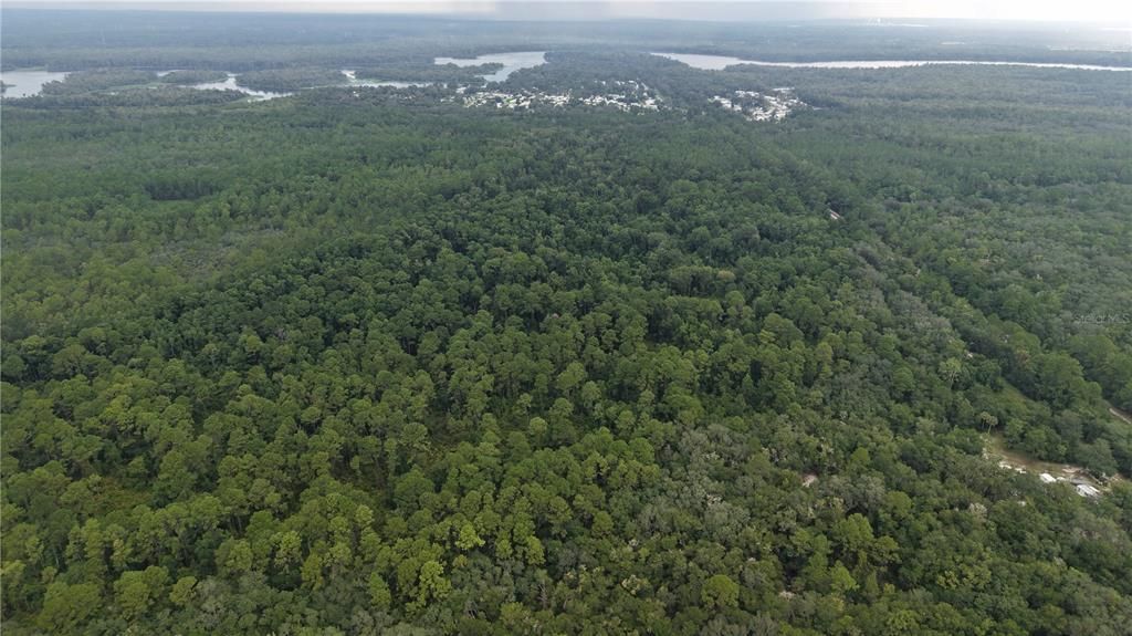 待售: $10,000 (1.61 acres)