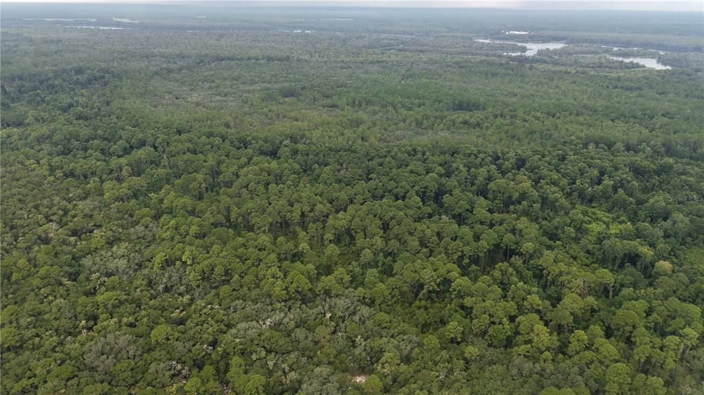 待售: $10,000 (1.61 acres)