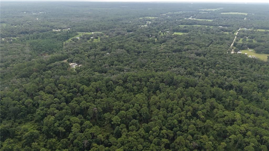 待售: $10,000 (1.61 acres)
