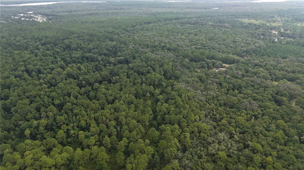 待售: $10,000 (1.61 acres)