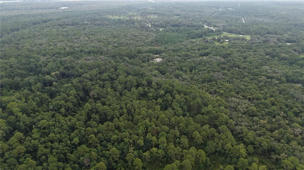 待售: $10,000 (1.61 acres)