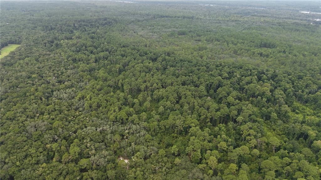 待售: $10,000 (1.61 acres)