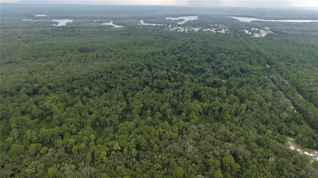 待售: $10,000 (1.61 acres)