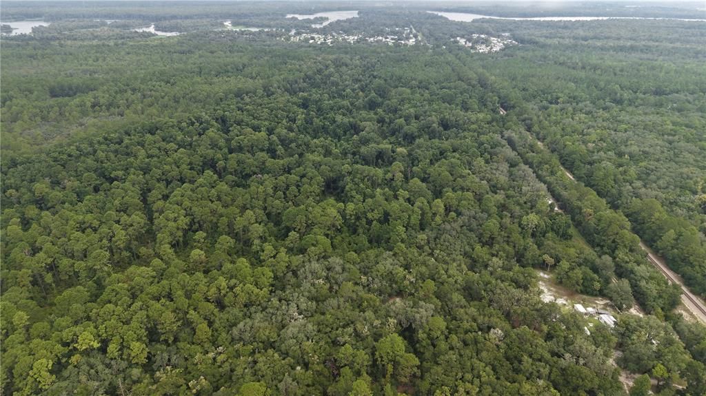 待售: $10,000 (1.61 acres)