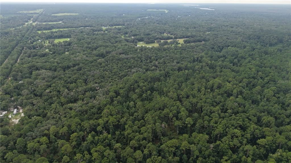 待售: $10,000 (1.61 acres)