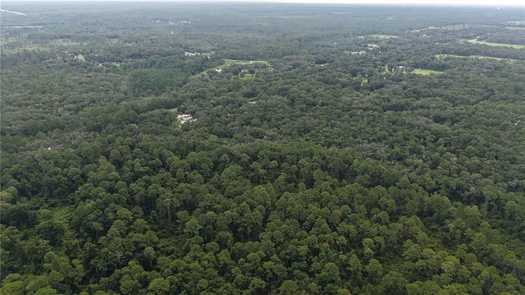 待售: $10,000 (1.61 acres)