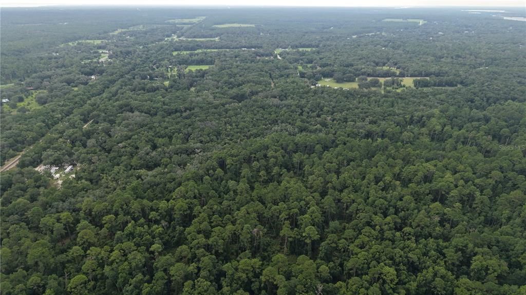 待售: $10,000 (1.61 acres)