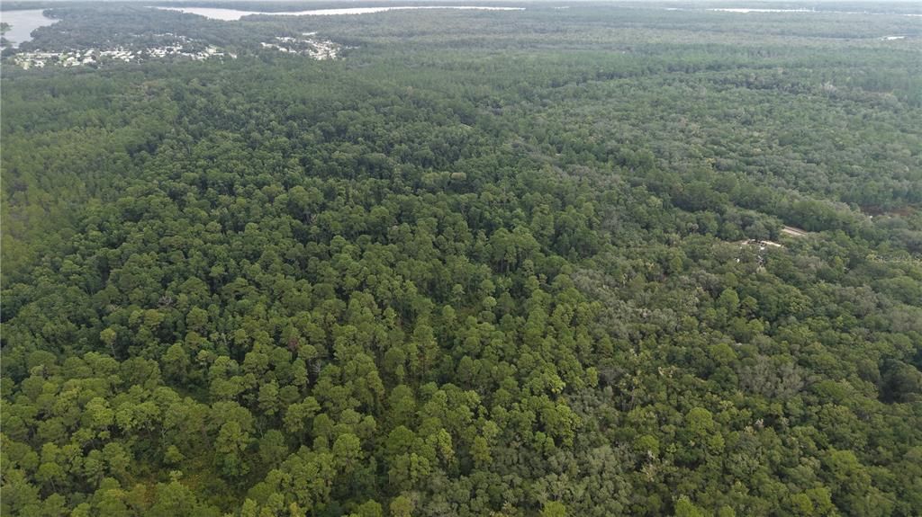 待售: $10,000 (1.61 acres)