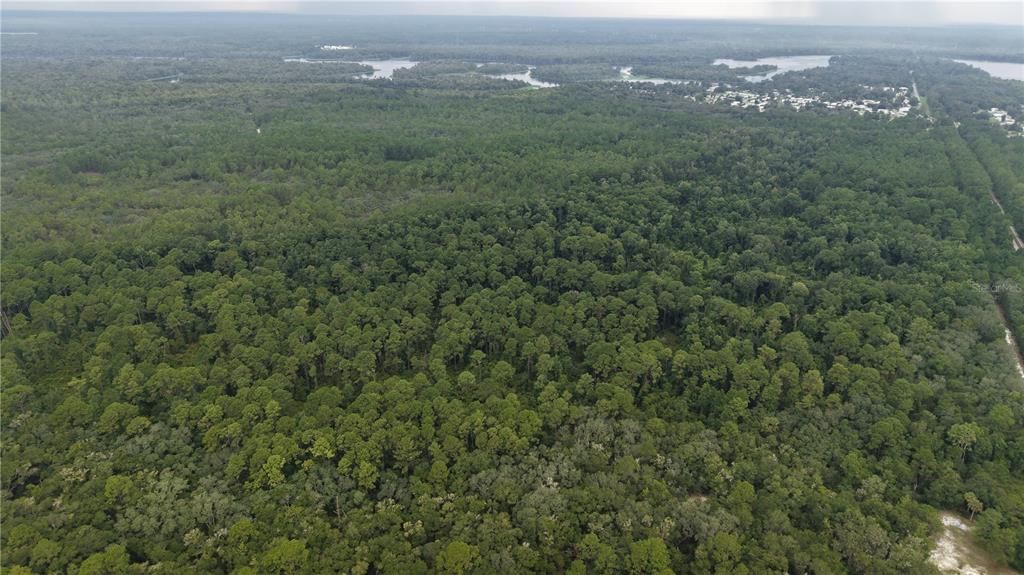 待售: $10,000 (1.61 acres)