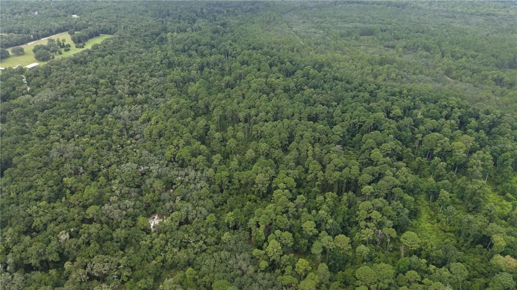 待售: $10,000 (1.61 acres)