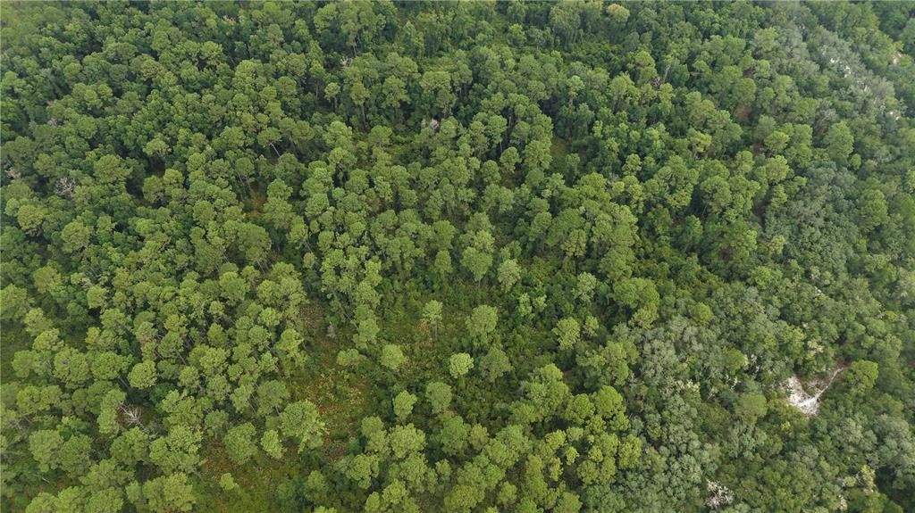 待售: $10,000 (1.61 acres)
