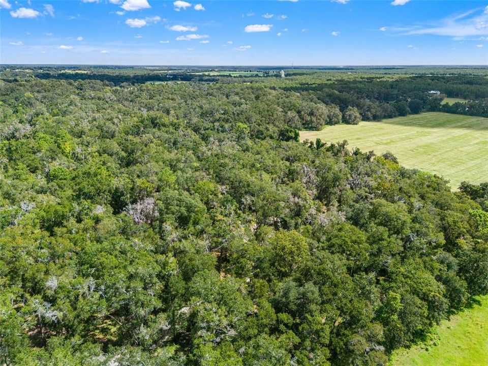 For Sale: $365,000 (10.03 acres)