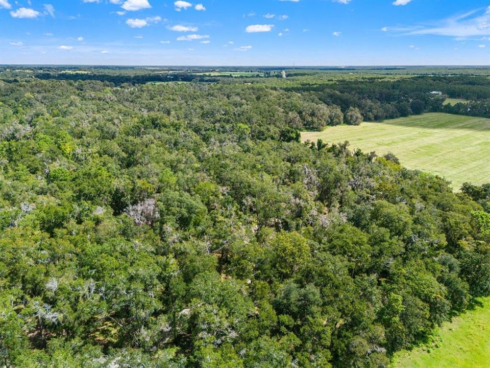 For Sale: $365,000 (10.03 acres)