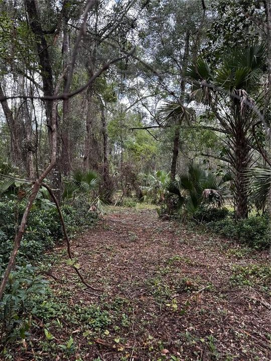 En Venta: $949,000 (17.00 acres)