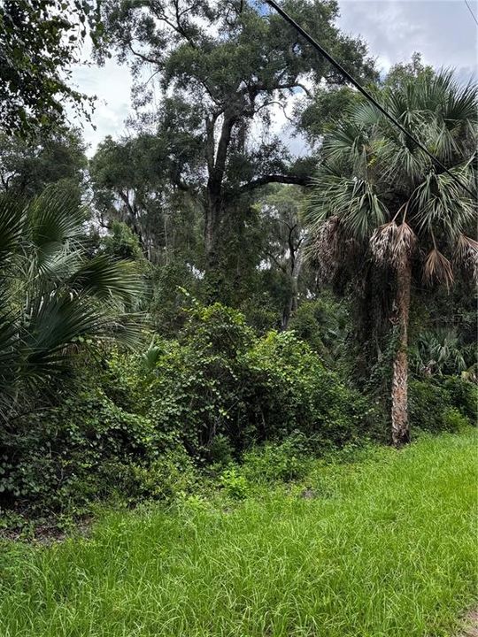 En Venta: $949,000 (17.00 acres)