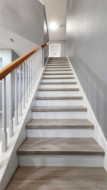 В аренду: $3,200 (5 спален, 2 ванн, 2521 Квадратных фут)