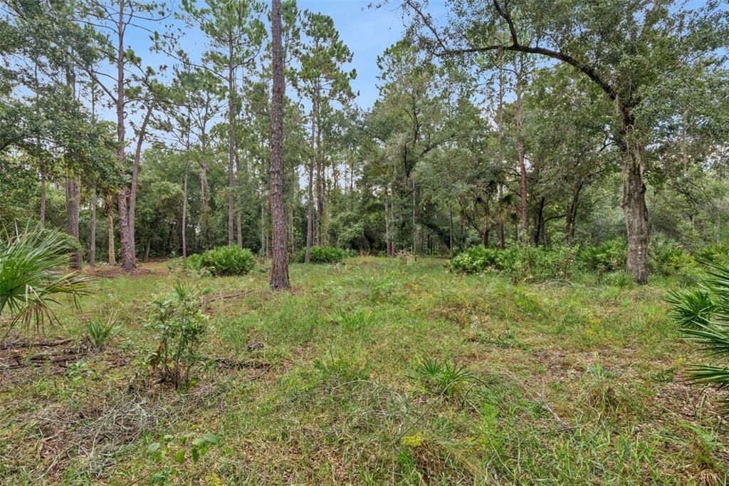 For Sale: $119,000 (0.37 acres)