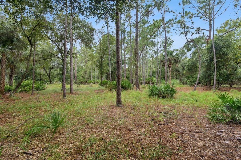 For Sale: $119,000 (0.37 acres)