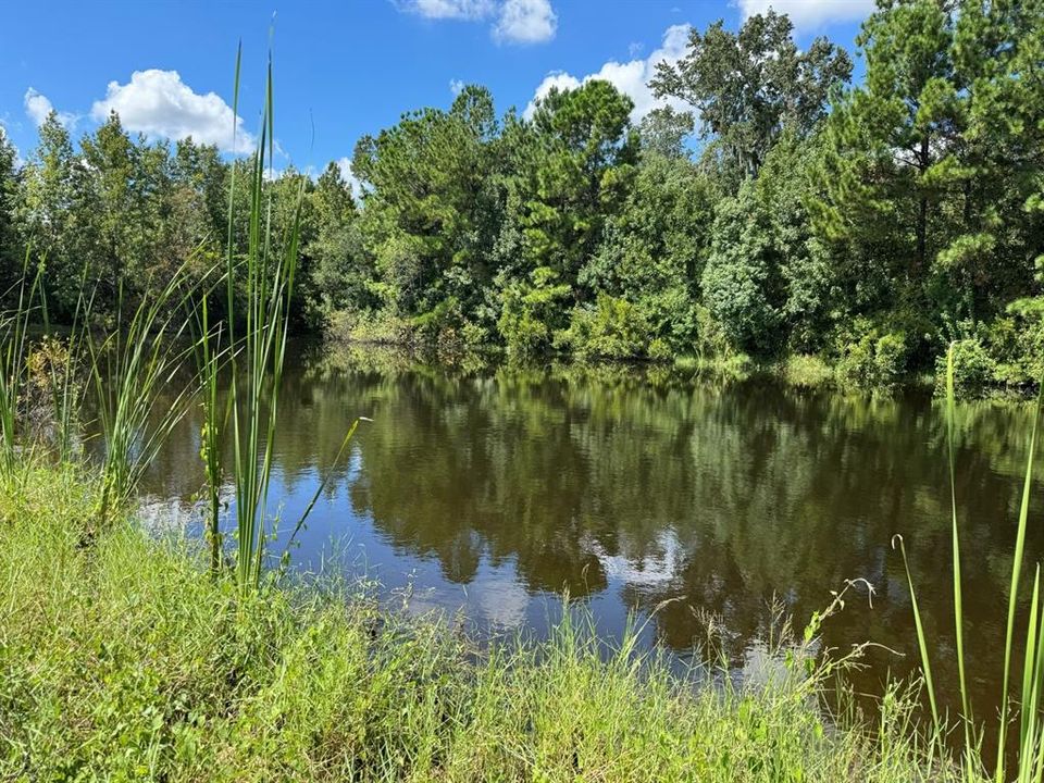 For Sale: $375,000 (4.16 acres)