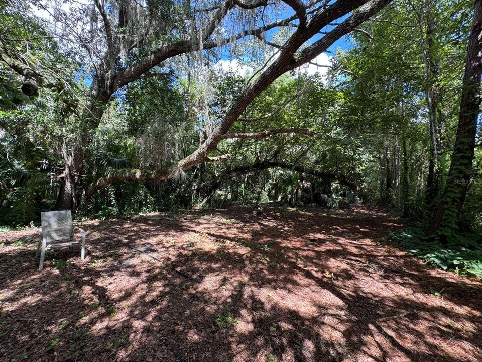 For Sale: $375,000 (4.16 acres)