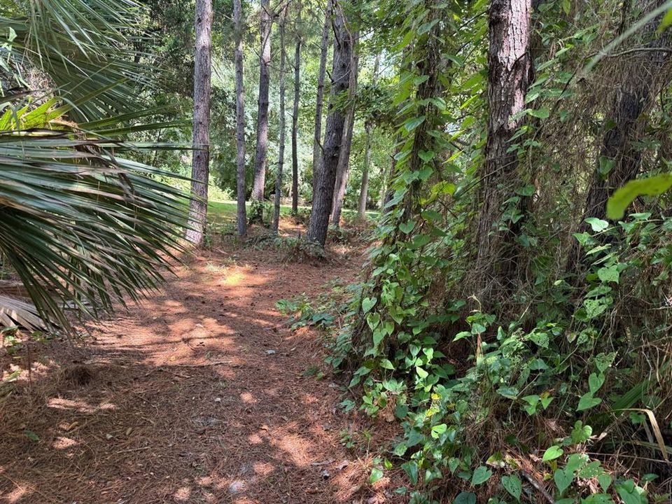 For Sale: $375,000 (4.16 acres)