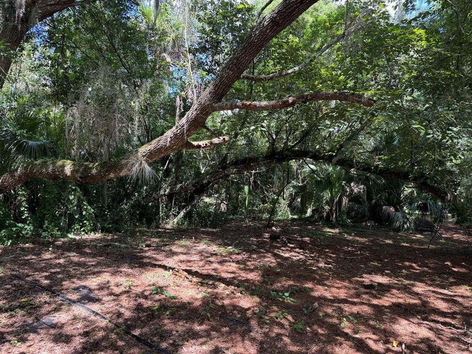 For Sale: $375,000 (4.16 acres)