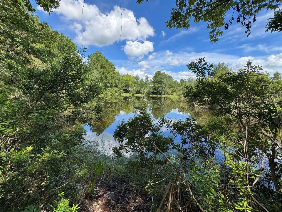 For Sale: $375,000 (4.16 acres)