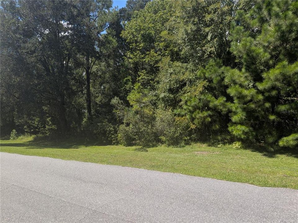 For Sale: $165,000 (5.33 acres)