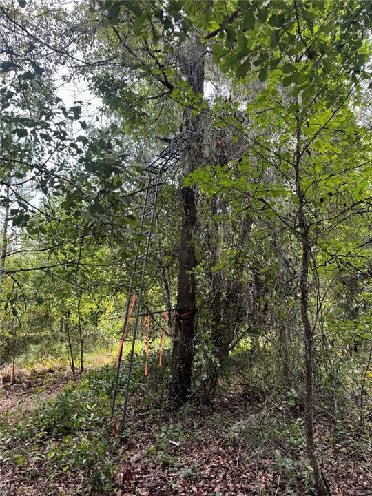 待售: $49,000 (2.85 acres)