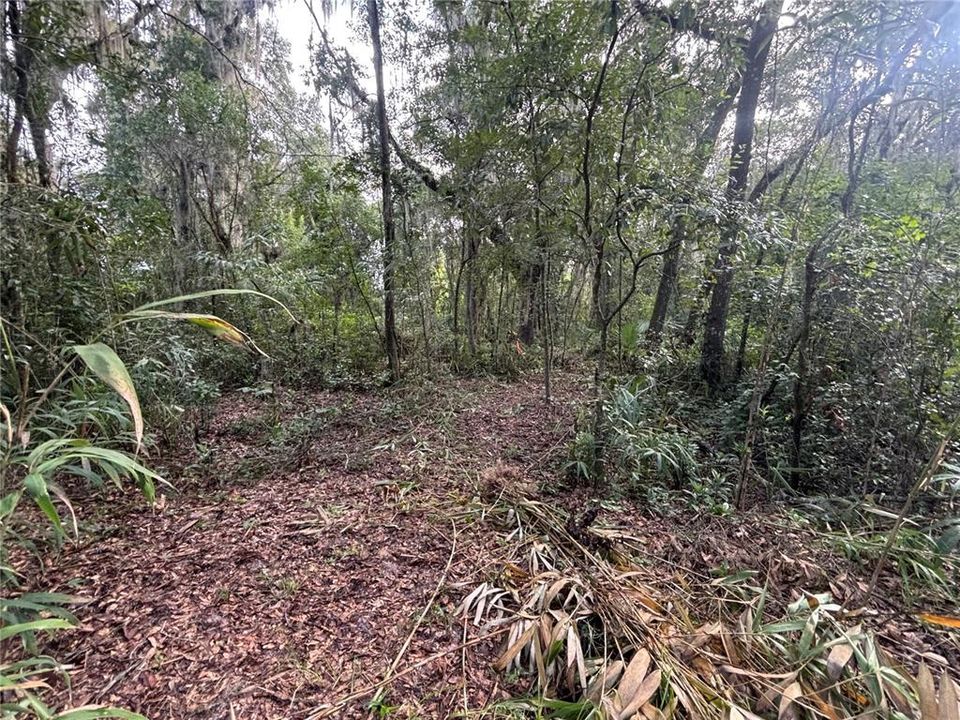 待售: $49,000 (2.85 acres)
